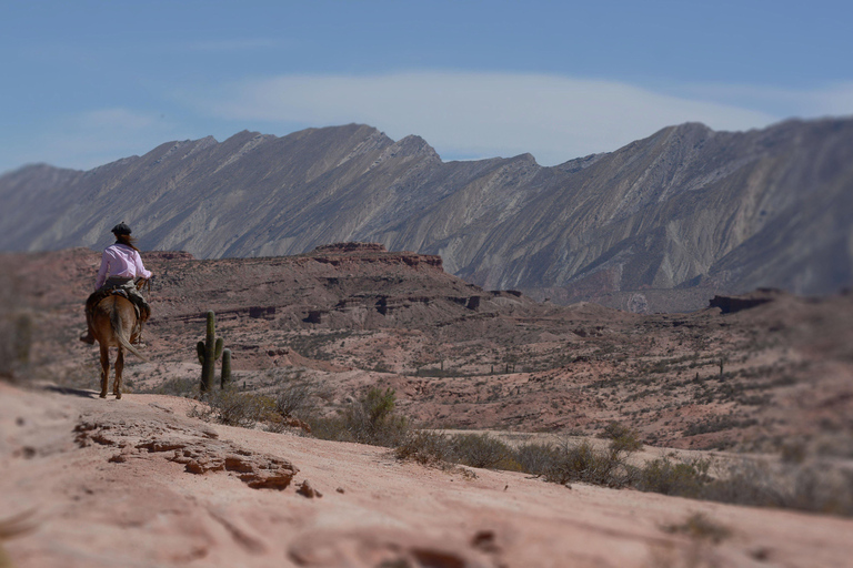 Horseback riding in the Calchaquí Valleys - Salta - Argentina