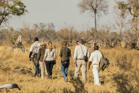 Kapstadt: 3-tägige Inverdoorn Safari mit Unterkunft