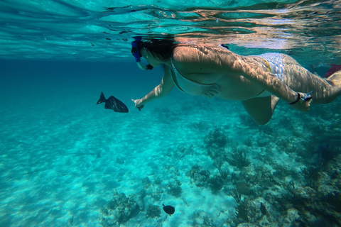 Scuba Diving In Baru Mas Pasadia Playa Tranquila