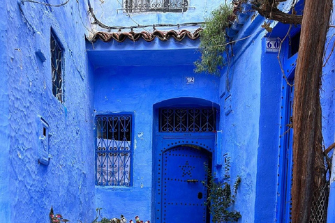 Fes to Chefchaouen Day Trip multi languages(EN/FR/ES/IT/AR)Fes to Chefchaouen Day Trip multi languages (mid-size group)