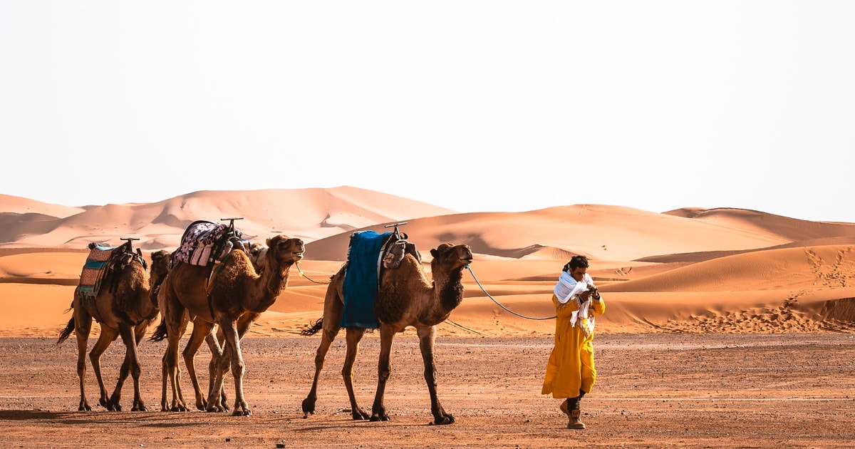 Von Agadir Private 4TagesTour nach Marrakesch über die MerzougaWüste GetYourGuide