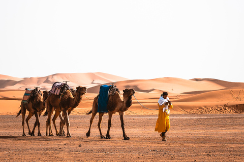 Von Agadir: Private 4-Tages-Tour nach Marrakesch über die Merzouga-Wüste