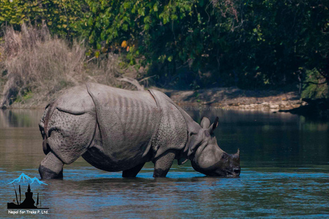 Kathmandu: Complete Nepal Tour in 15 Days