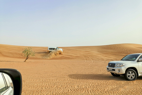 Doha: Safari no Deserto partilhado, Sandboard, Passeio de CameloSafari no deserto com passeio de camelo