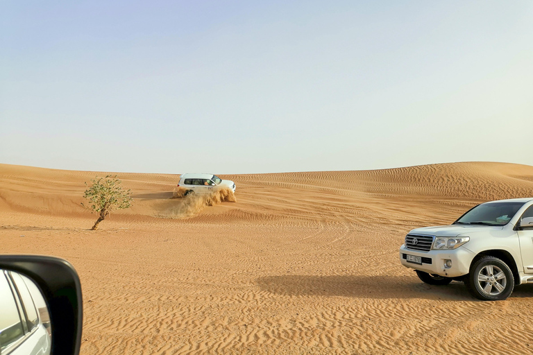 Doha: Shared Desert Safari, Sandboarding, Camel RideShared Desert Tour