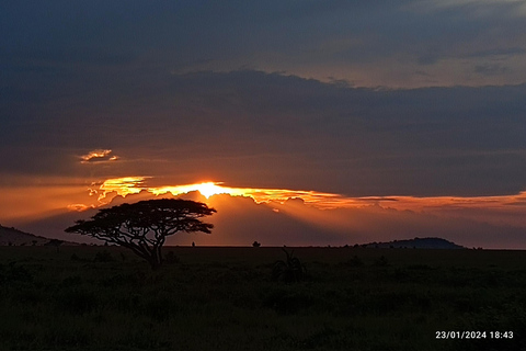 5 DÍAS DE SAFARI. TARANGIRE, SERENGETI, NGORONGORO Y MANYARA