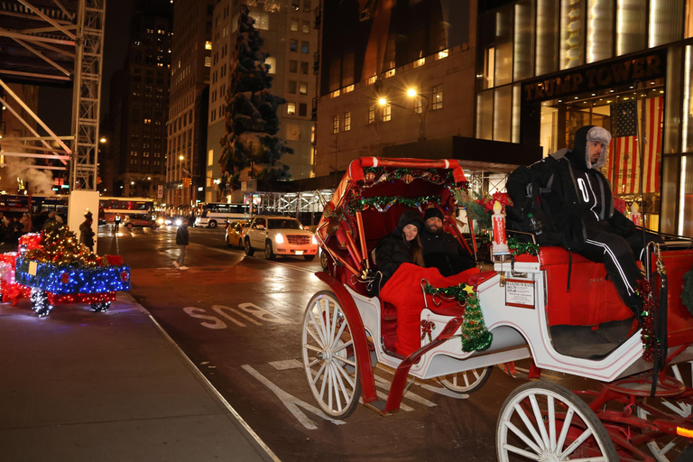 NYC: Åktur med magisk julbelysning i vagn (Upp till 4 vuxna)New York City: Magisk tur med häst och vagn i julbelysning