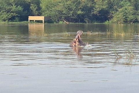 Addis Ababa: 6-Day Abijata Shalla NP & Bale Mountains Tour