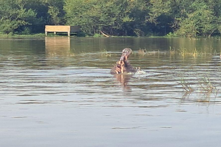 Addis Ababa: 6-Day Abijata Shalla NP & Bale Mountains Tour