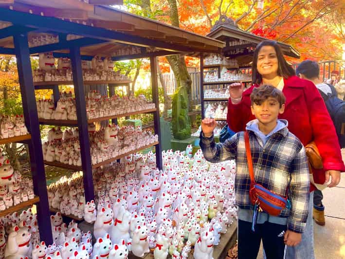 Tokyo: Gotokuji Cat Temple, Shinjuku Cat Cafe & 3D Cat Tour