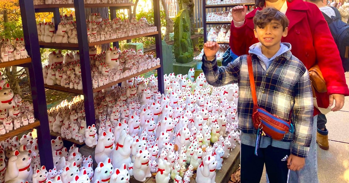 Tokyo: Gotokuji Cat Temple, Shinjuku Cat Cafe & 3D Cat Tour