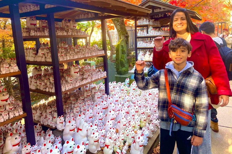 Tokyo: Gotokuji Cat Temple, Shinjuku Cat Cafe & 3D Cat Tour