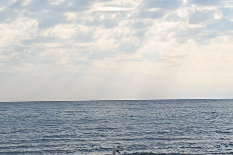Göteborg: Rundgang durch die Altstadt und entlang der Åsa-Küste