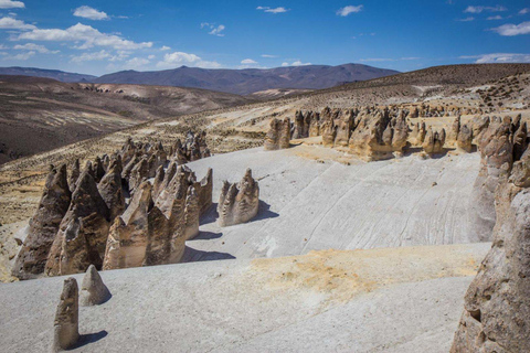 Arequipa: tour di Salinas e Aguada Blanca con lezione di cioccolatoArequipa: tour delle saline e di Aguada Blanca con lezione di cioccolato