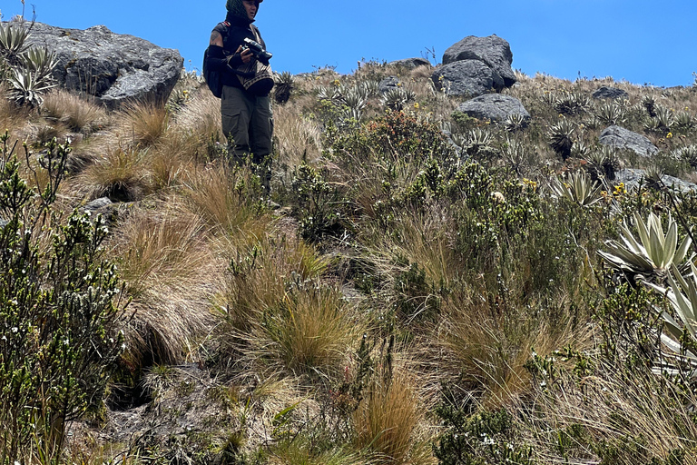 Vanuit Bogota: Verken het Andesgebergte van Colombia