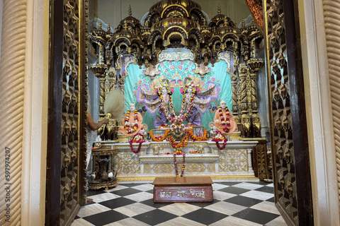 从德里出发：泰姬陵和玛图拉-布林达班观光 2 日游仅提供专业导游服务。