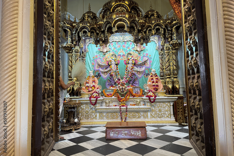 从德里出发：泰姬陵和玛图拉-布林达班观光 2 日游仅提供专业导游服务。