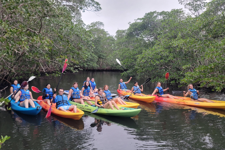 Miami: Biscayne Bay Ultimate Boat Tour with Kayak Experience