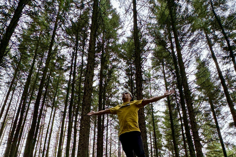 卡纳塔克邦：西高止山脉徒步探险