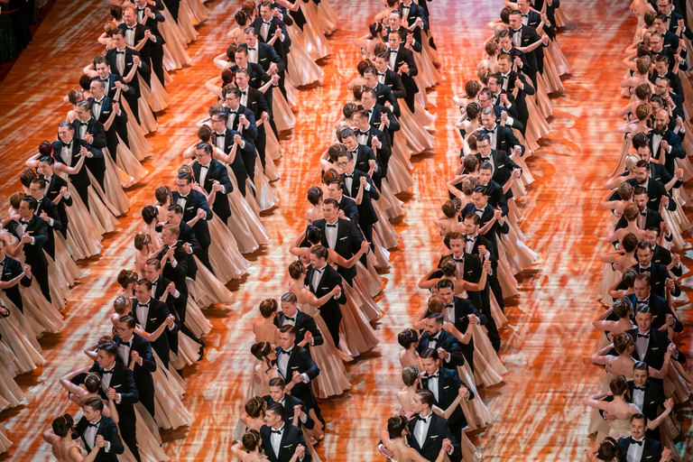 Special tour of the SemperOpernball 2026 Special tour for the SemperOpernball 2026