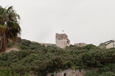 Depuis Benalmadena : Excursion guidée à Gibraltar