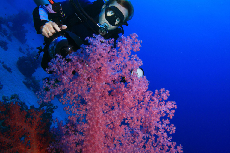 Essayez la plongée sous-marine à Racha Yai/noi : 3 plongées pour les non certifiésDiscover Scuba Diving(3dives)Débutants(plongeurs non certifiés)