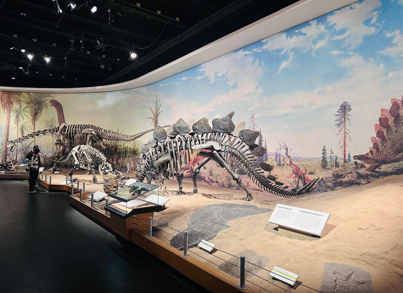 Badlands-tur: Drumheller med museum, hoodoos og dinosaurer