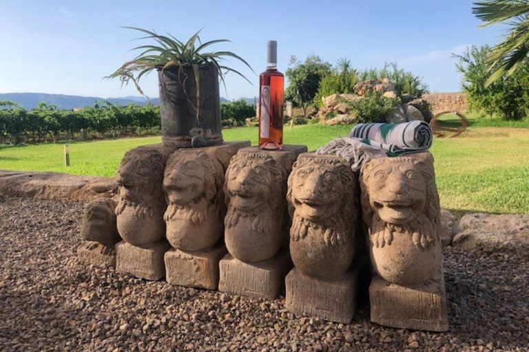 Führung durch die Weinberge und das Weingut Bodega Butxet mit Verkostung