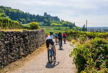 Soave mit dem Fahrrad, Olivenöl, Wein, die Landschaft, das Schloss.