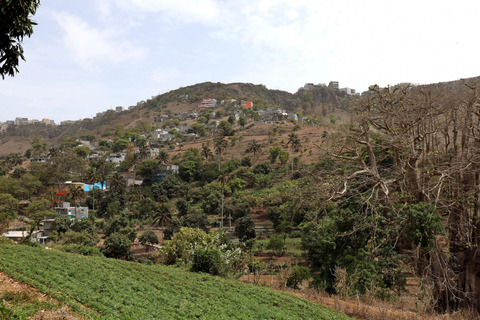 Assomada: Wycieczka piesza z przewodnikiem po dolinie Boa Entrada