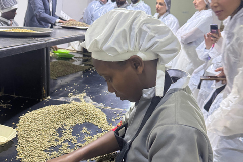 Where Coffee Was Born: Addis Ababa Culture & Highlands Tour