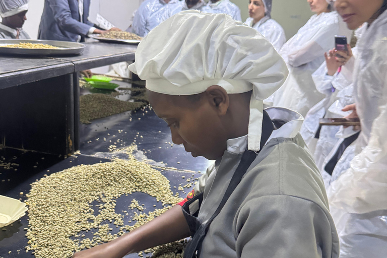 Where Coffee Was Born: Addis Ababa Culture & Highlands Tour