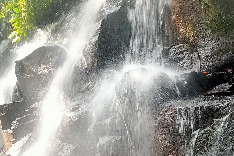 Entdecke die versteckten Juwelen der Wasserfälle in UbudPrivate Gruppe mit englischsprachigem Guide Tour