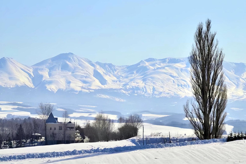 Asahiyama Adventure: Zoo+Waterfalls & Blue Pond Day Tour Meet at Exit 31 of Odori Park Subway Station
