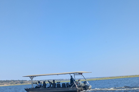 From Livingstone: Chobe game drive and river cruise day trip