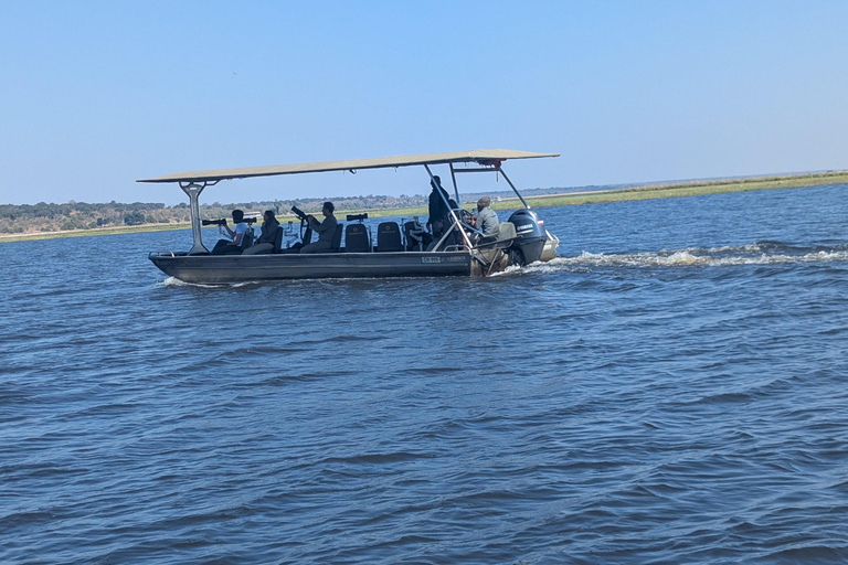 From Livingstone: Chobe game drive and river cruise day trip