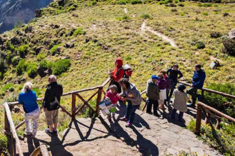 Colca Canyon Day Trip from Arequipa + Transfer to Puno