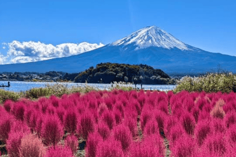 Desde Tokio: Monte Fuji Tour Privado de un Día con Conductor InglésToyota Vellfire