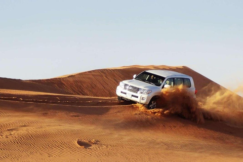 Doha: Premium Half-Day Desert Safari Camel Ride & Inland Sea Shared Tour From Meeting Point