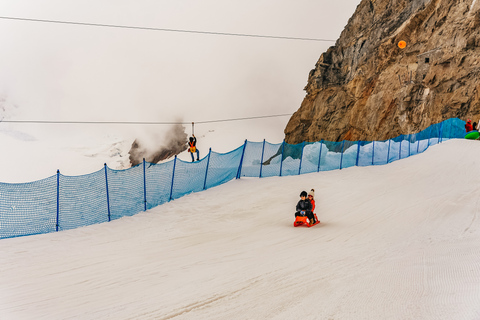 From Zurich: Guided Day Trip to Jungfraujoch with Train Ride