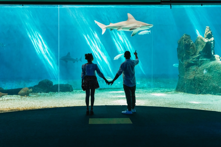 Aquarium van Genua: ticket met tijdslotAquarium van Genua: voorrangsticket