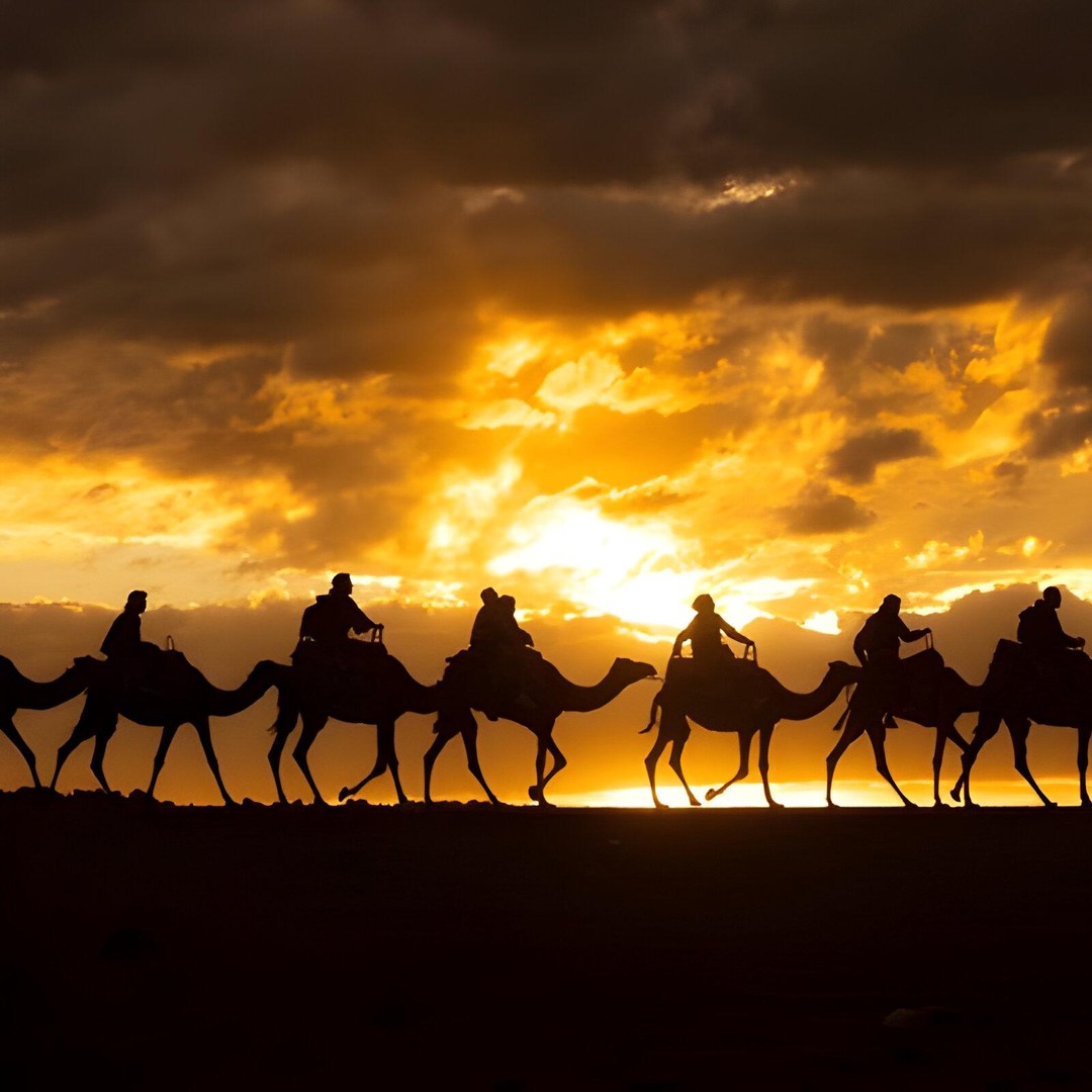 Magique Agafay : balade à dos de chameau et dîner-spectacle - dromadaire