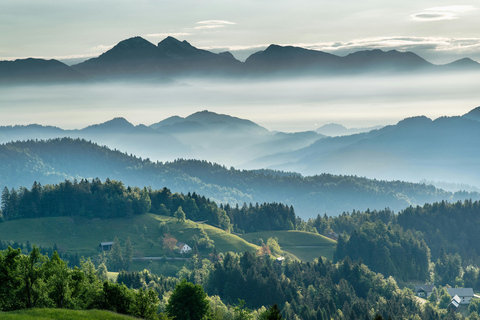 FÉRIAS TRANQUILAS NA VALEA VÂLSANULUI-BRĂDET