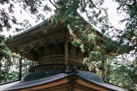 Osaka: Osaka /Nara Customize Day Trip With English Speaking.