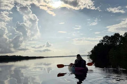 ZANZIBAR: Mangrove Kayaking and Turtle Swim at Salaam Cave PRIVATE TOUR INCLUDES TRANSFER