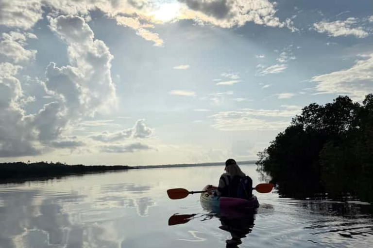 ZANZIBAR: Mangrove Kayaking and Turtle Swim at Salaam Cave PRIVATE TOUR INCLUDES TRANSFER