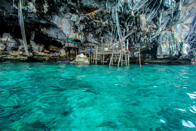 Desde Phi Phi: Excursión de medio día de snorkel en barco de cola larga