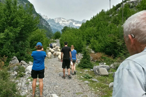 Au départ de Tirana : 3 jours de randonnée dans le parc national de Theth et dans l&#039;œil bleu