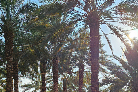 AlUla Wonders: 2-Day Adventure History, Nature & Safari