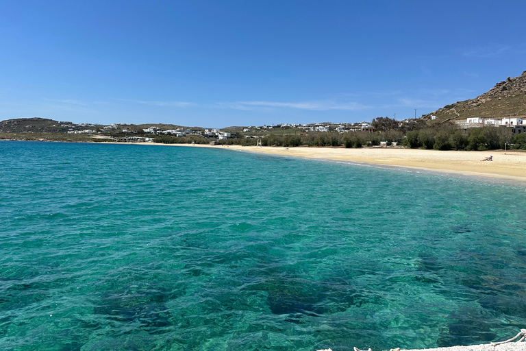 Visite de 4 heures à Mykonos en espagnol4 heures de visite de Mykonos en anglais